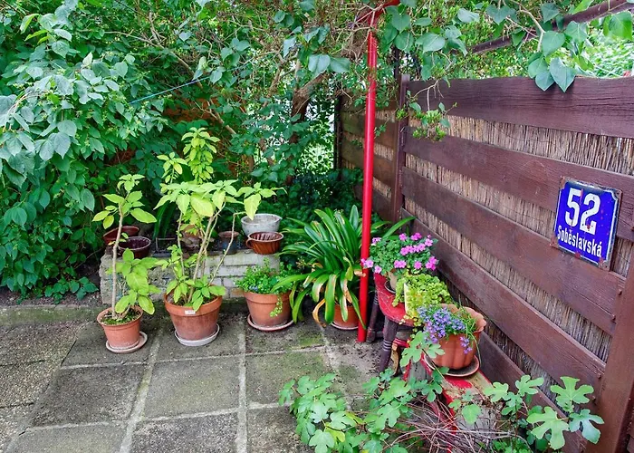 Garden In The Apartamento *